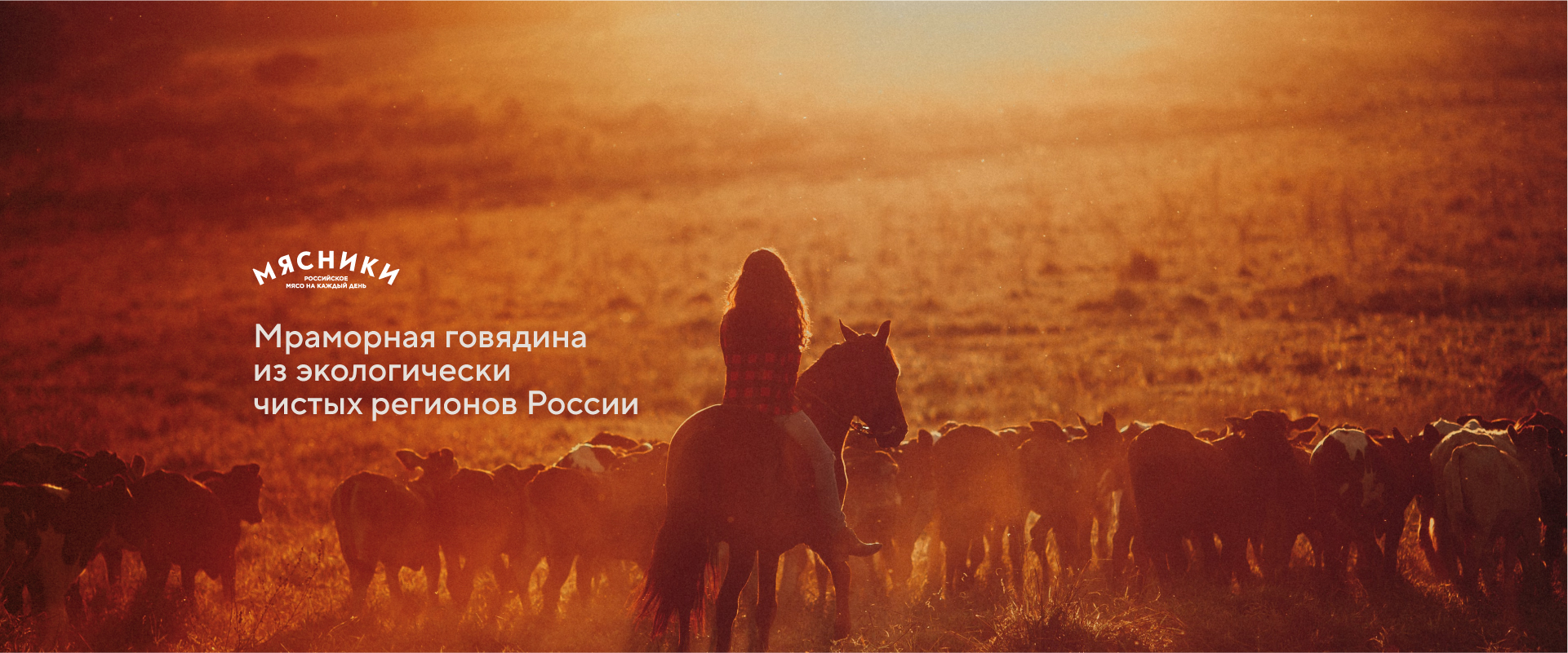 Мраморная говядина из экологически чистых регионов россии